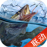 割四赔五乱象
