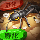 缘分一道桥拿什么输